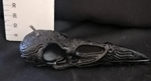 CANDLE: Crow Black