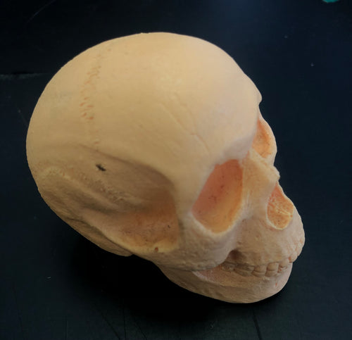 Orange Skull