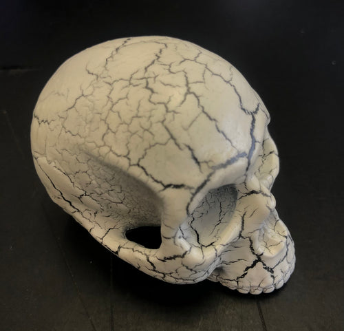 Small Cracked Skull