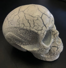 Cracked Skull