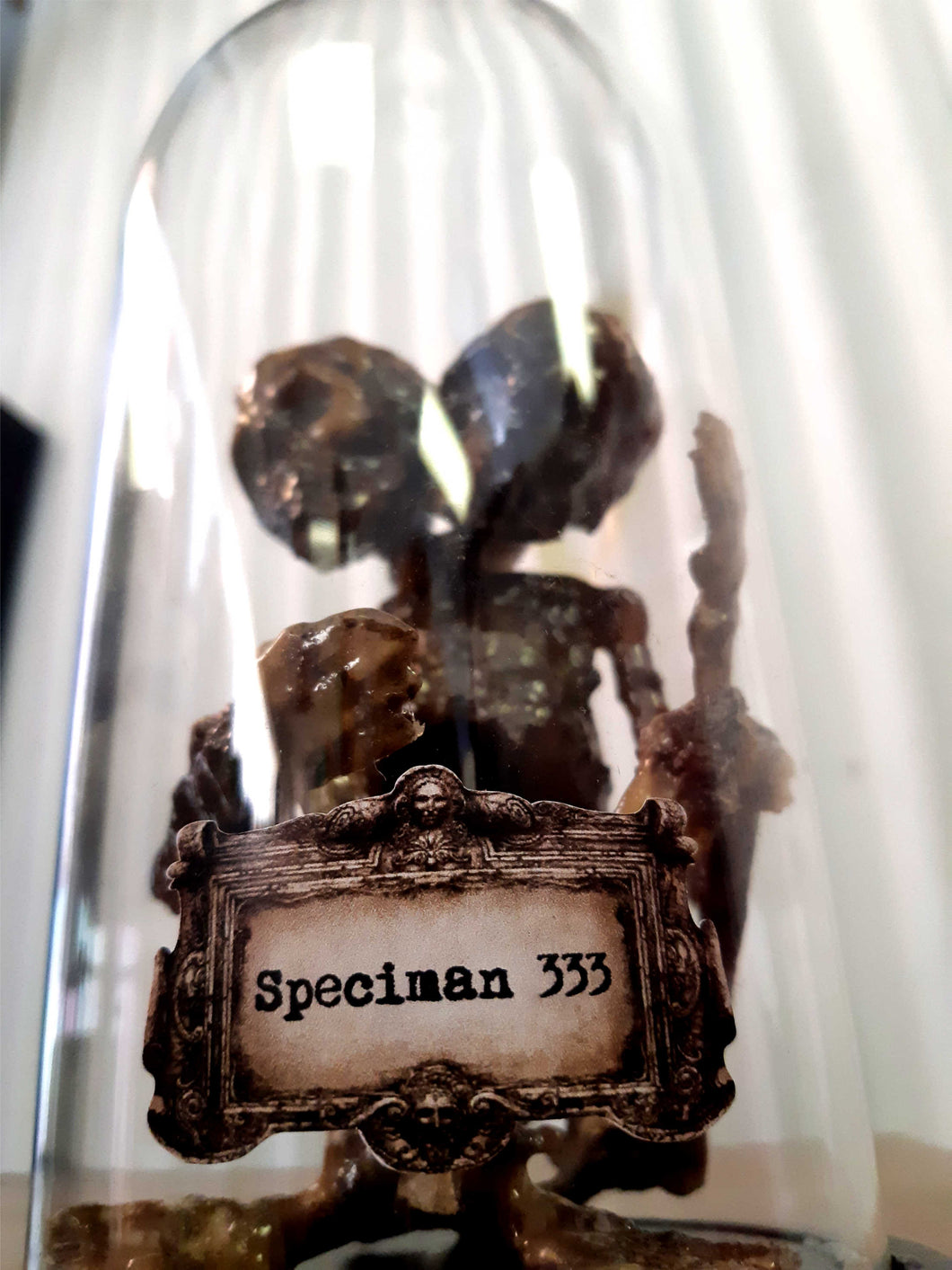Specimen 333